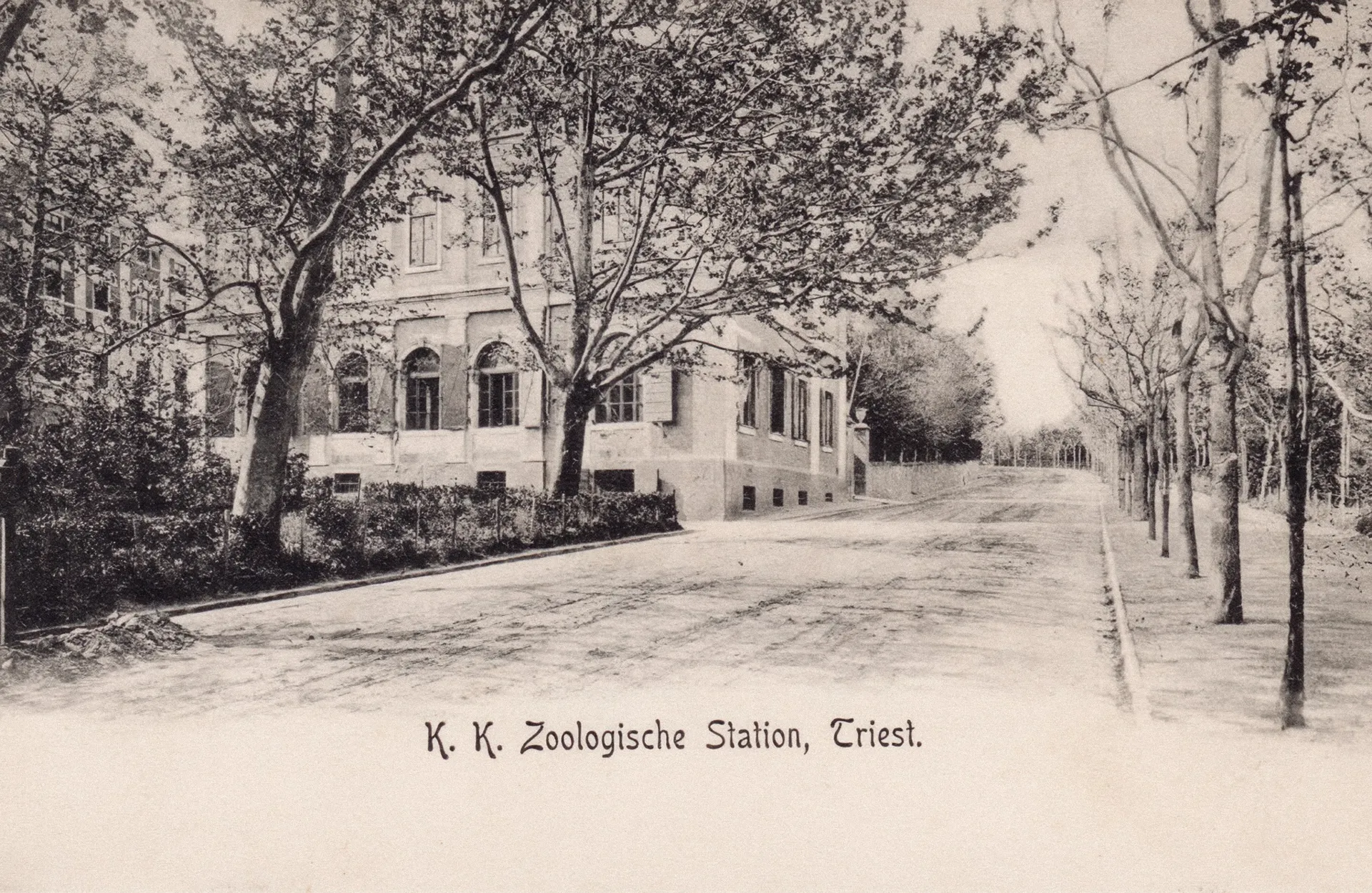 Imperial and Royal Zoological Station