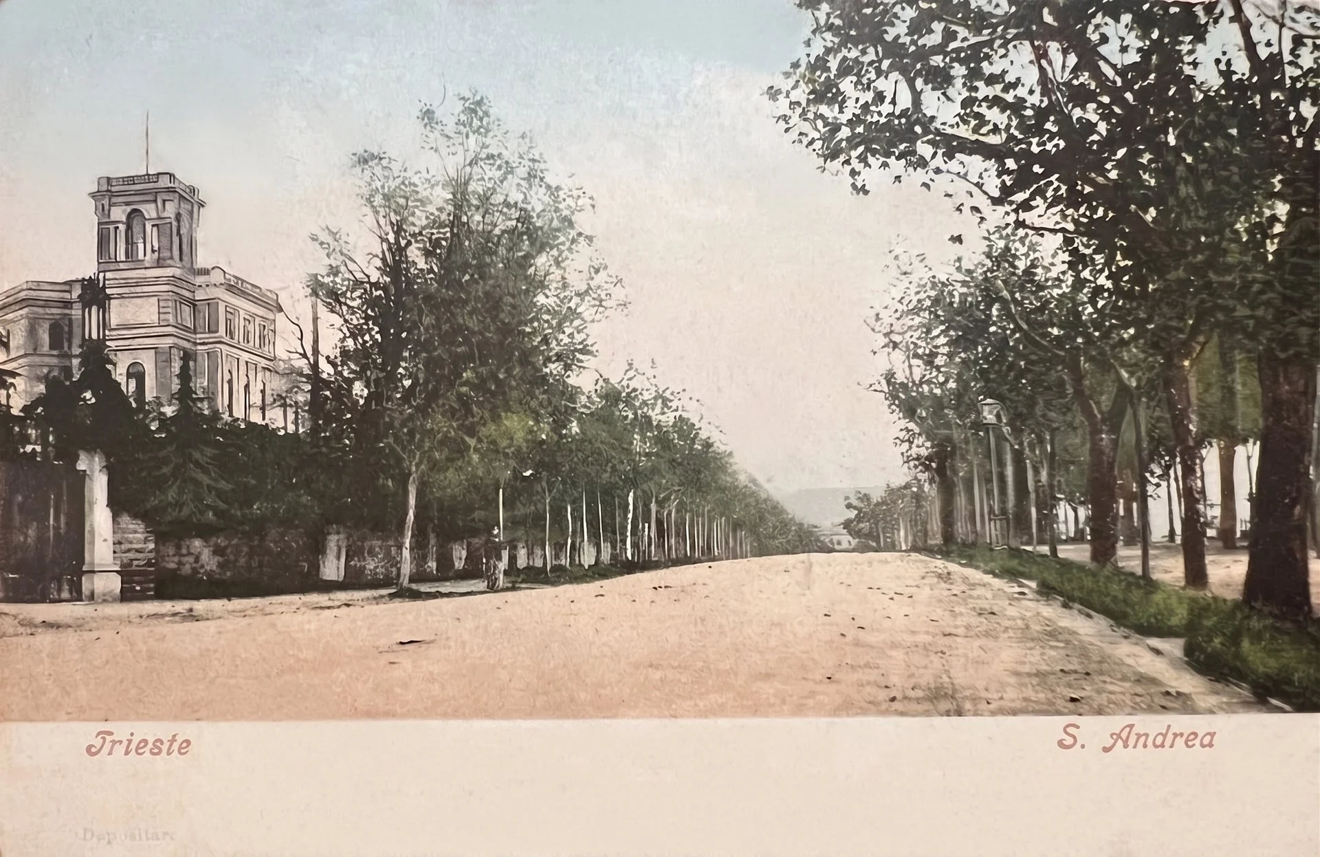 Die Promenade Sant'Andrea in Triest mit ihrer Baumallee