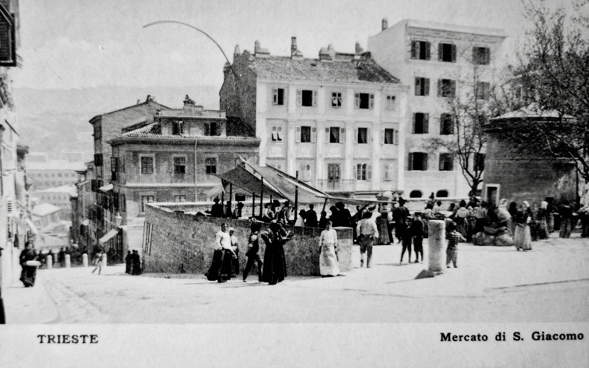 Market of San Giacomo in Trieste - Historical Modiano Postcard