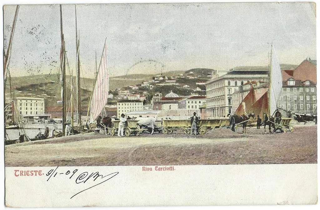 Riva Carciotti