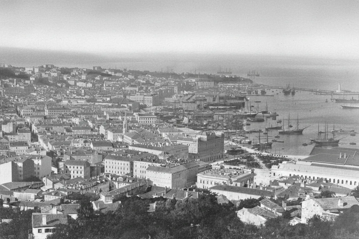 Port of Trieste from Scorcola
