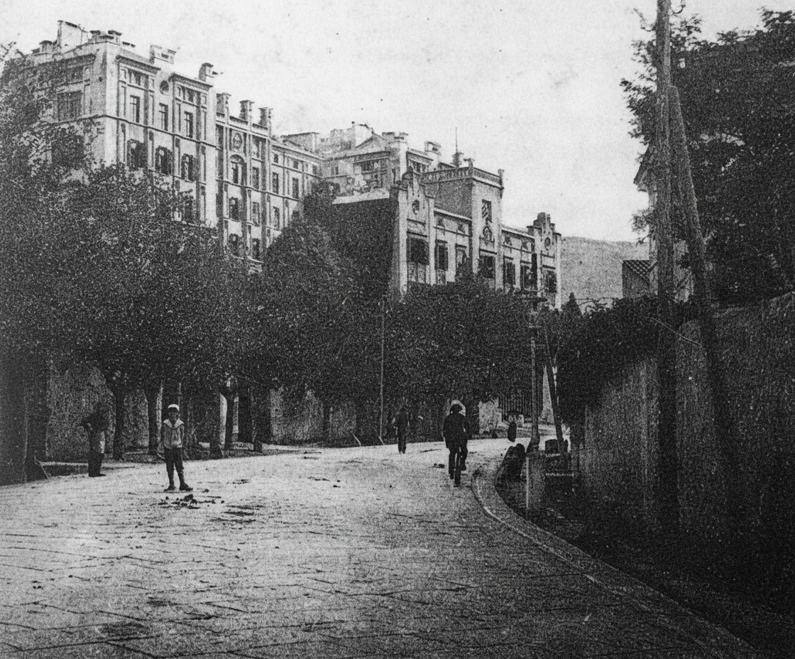 Via Commerciale Nuova (today Via Fabio Severo), Trieste