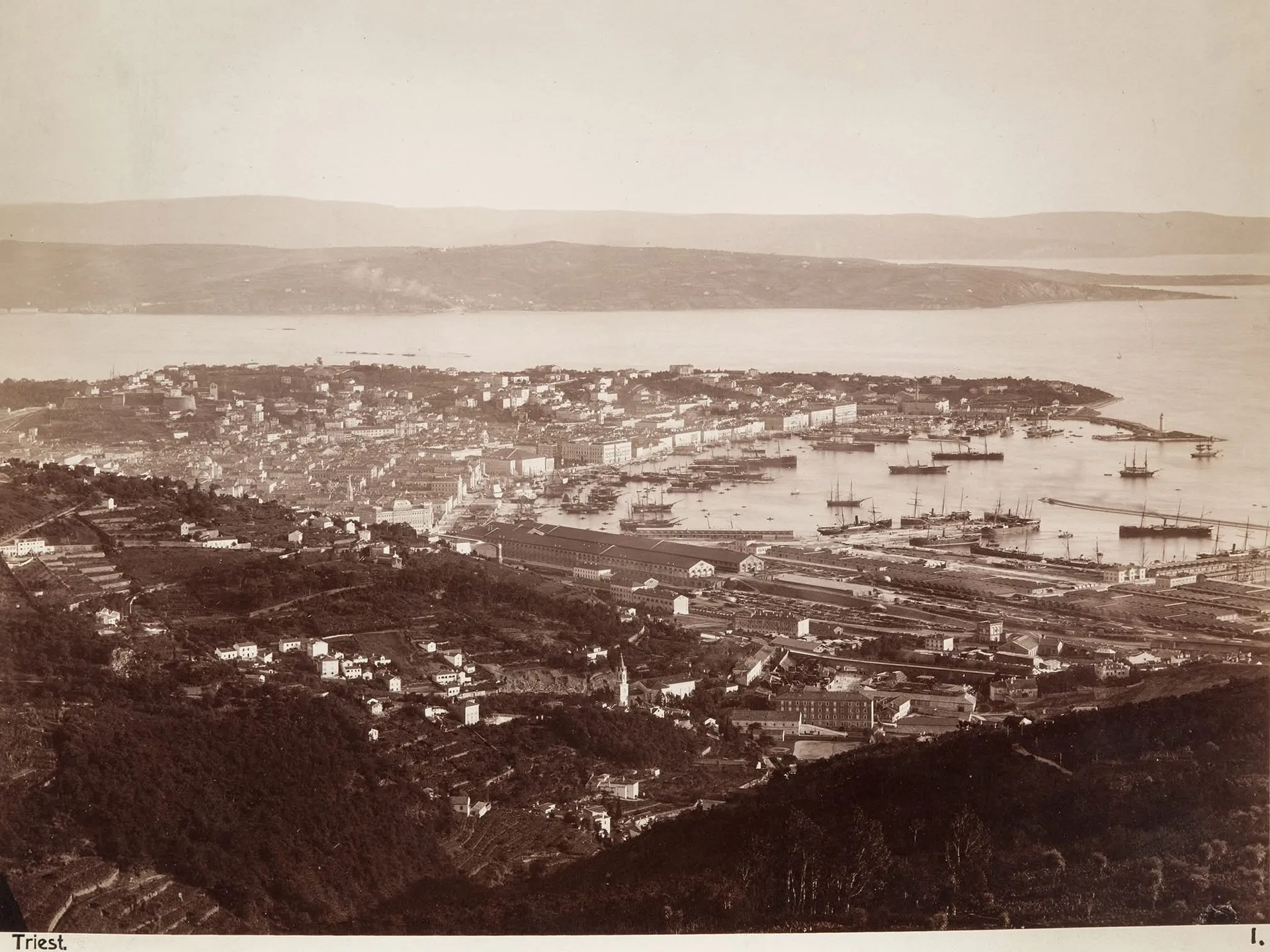 View of the City